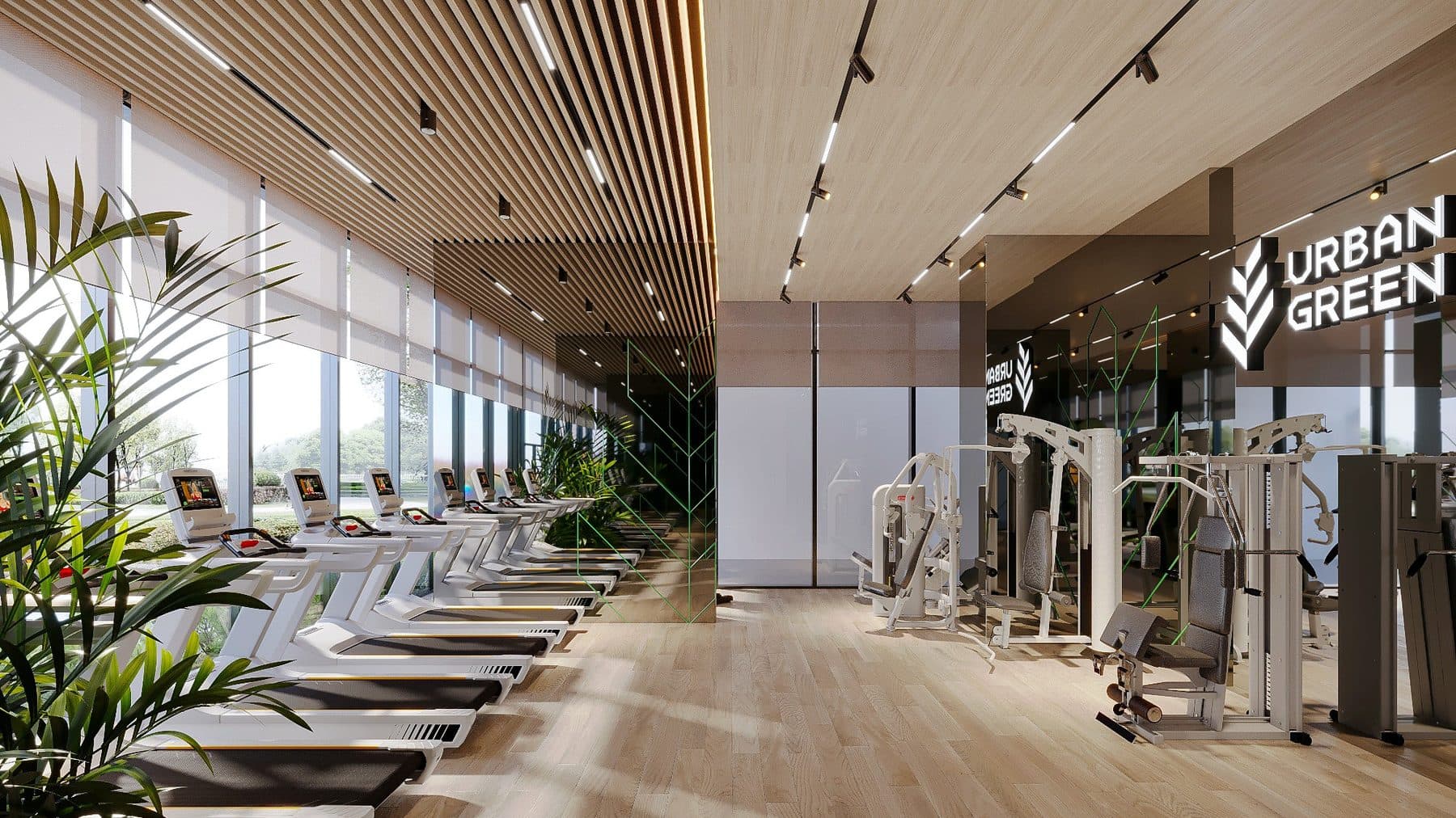 Phòng gym và yoga